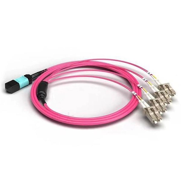 Comoros sells 12-core fiber optic cables 