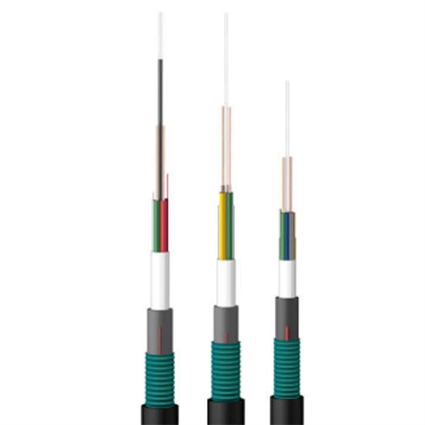 How much does a fiber optic cable cost in Argentina 